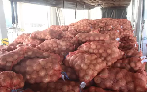 La cebolla se sum� al tomate y la zanahoria como producto de exportaci�n