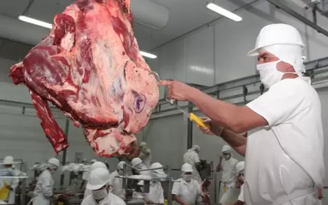 Frigor�ficos y Gobierno presentaron su plan anual.