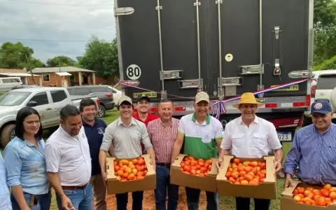 60.000 kilos de tomate paraguayo ingresan a la Argentina