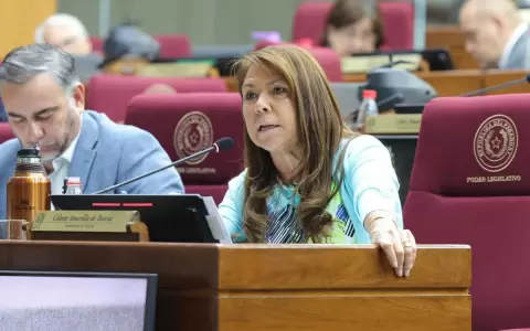 Para Celeste Amarilla, Santiago Pe�a y todos los legisladores deber�an atenderse en el IPS