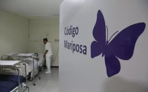 C�digo mariposa: sepa qu� se busca desde Diputados con proyecto sobre duelo perinatal