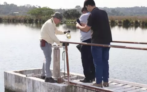 Caso mortandad de peces: emiten recomendaciones tras resultados de an�lisis
