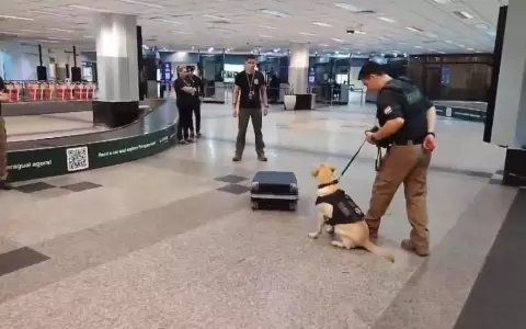 Detienen a pasajero que intent� viajar a Madrid con coca�na en su maleta