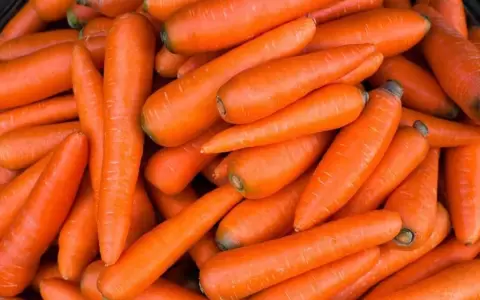 Por primera vez, Paraguay export� zanahorias al mercado argentino