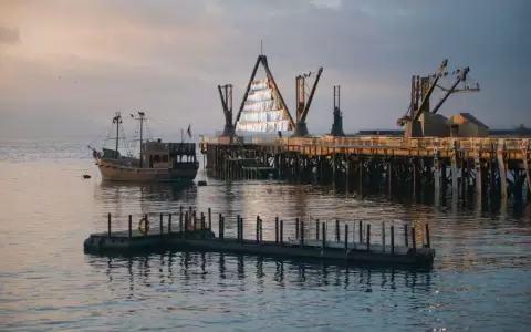 �ltimas semanas para postular a la Bienal SACO1.2 "Ecosistemas oscuros"