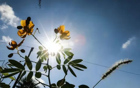 Meteorolog�a anuncia un s�bado con clima fresco a la ma�ana y c�lido en horas de la tarde