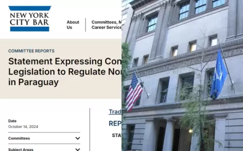 Colegio de abogados de New York rechaza aprobaci�n de Ley "Anti ONG"