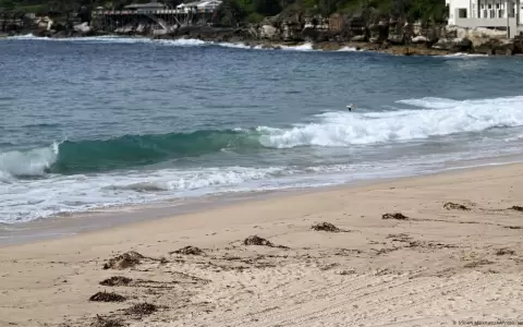 Cierran m�s playas de S�dney por bolas de alquitr�n