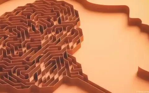 La depresi�n redefine las redes cerebrales de las personas