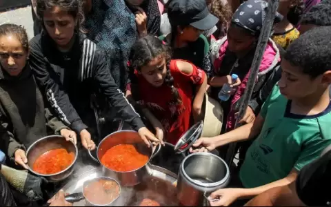 ONU advierte que no entra comida en Gaza hace once d�as