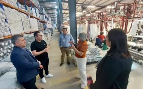 F�brica de cortinas se instalar�a en el Centro de Reinserci�n Social de Minga Guaz�