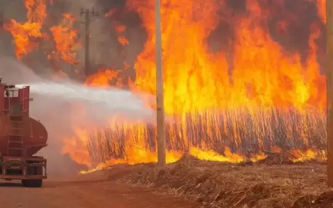 Incendios forestales.