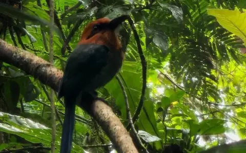 La Selva: un para�so muy cerca de la capital