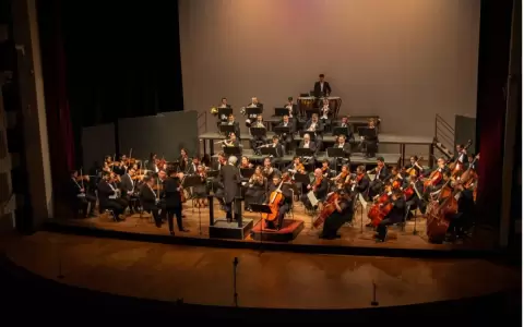 "Guarania sinf�nica" en el ciclo de conciertos al aire libre de la OSCA