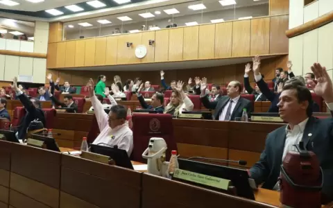 Senado vuelve a postergar proyecto con vencimiento de pensi�n para discapacitados
