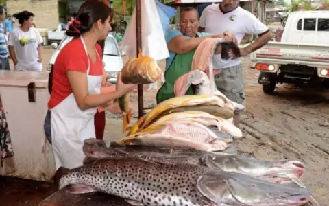 Instan a respetar la veda pesquera para preservar diferentes especies acu�ticas