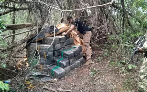 Incautan 1 tonelada de marihuana en San Pedro