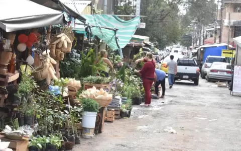 Inicia el "operativo verano" en el Paseo de los Yuyos del Mercado 4