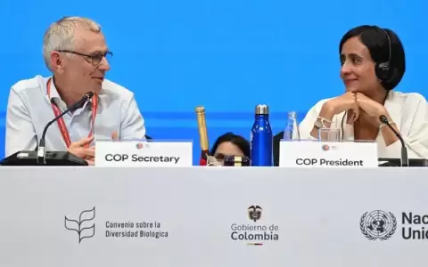 La COP16 finaliza sin acuerdo para salvar la naturaleza