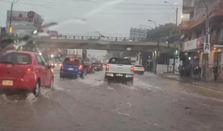 Temporal deja calles inundadas con raudales, �rboles ca�dos y varias zonas sin energ�a