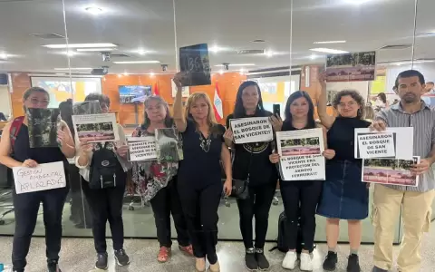 Solicitar�n un estudio de suspensi�n de obras en el ex "Bosque de San Vicente"
