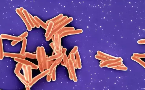 Las ocho bacterias m�s peligrosas del mundo