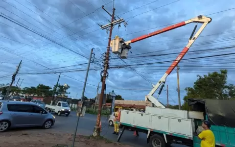 �rboles y postes ca�dos complicaron la restituci�n del servicio el�ctrico.