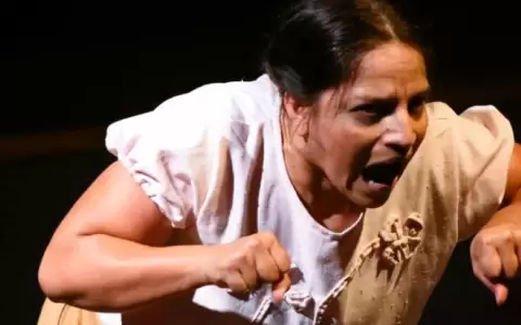 "La ag�ela C": obra paraguaya triunfa en la Fiesta Provincial de Teatro en Formosa