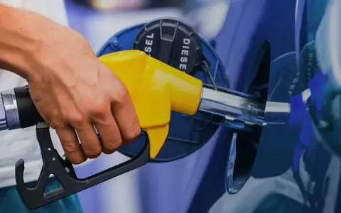 Detienen a hombre se�alado por cargar combustible y adquirir productos de veterinarias sin pagar