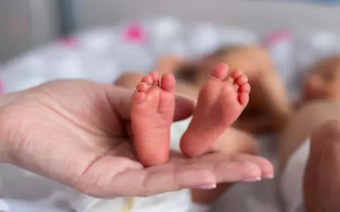 D�a Mundial del Nacimiento Prematuro: "Cada d�a cuenta, cada vida importa"