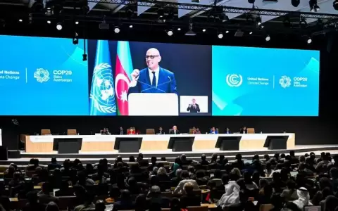 Llamado a la cooperaci�n mundial en el arranque de la COP29