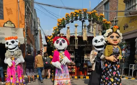 Flor de cempas�chil, biodiversidad, tradici�n y cultura