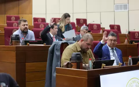 Opositores solicitan a la CBI investigar a la Opaci