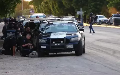 M�xico: hallan once cad�veres en una camioneta abandonada
