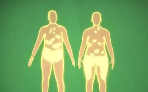 Las c�lulas guardan "memoria" de la obesidad