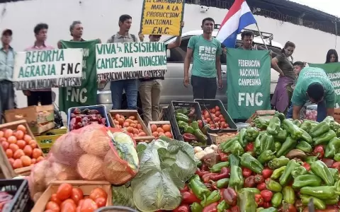 Productores protestan ante el MAG arrojando sus productos