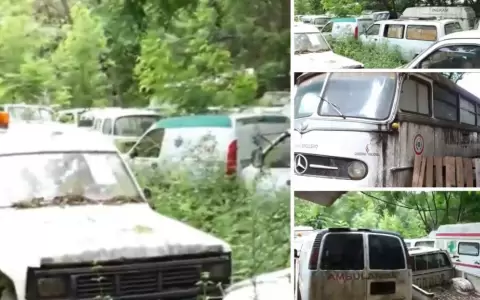 Desidia en el Parque Sanitario de Insumos: "Unas 200 ambulancias est�n en desuso", seg�n ministra
