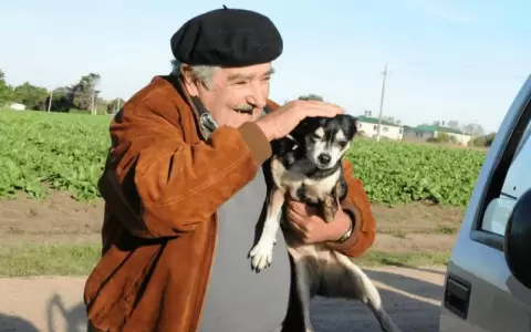 Mujica quiere ser enterrado en la chacra en la que vive junto a su perra Manuela.