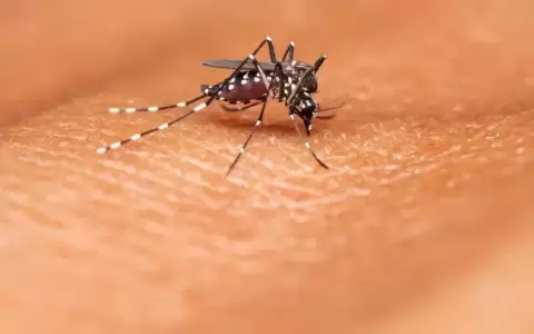 La malaria caus� 597.000 muertes globales en 2023