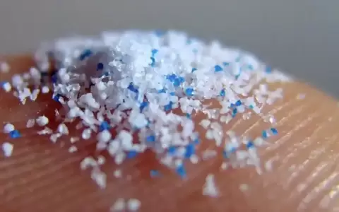 El micropl�stico puede da�ar la salud.