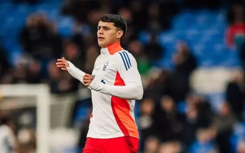 En Inglaterra confirman arribo de Ram�n Sosa a Palmeiras