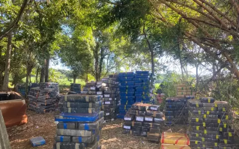 Duro golpe al crimen organizado con incautaci�n r�cord de marihuana