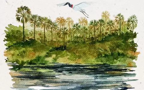 Karina Garcete presenta �Pantanal ilustrado� en Exaedro