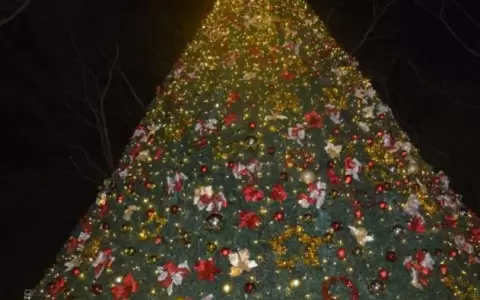 Colorido y emotivo encendido de luces del �rbol de Navidad m�s grande de Central