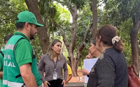Fiscal�a investiga supuesto acto de tala de �rboles en propiedad de la Cajubi
