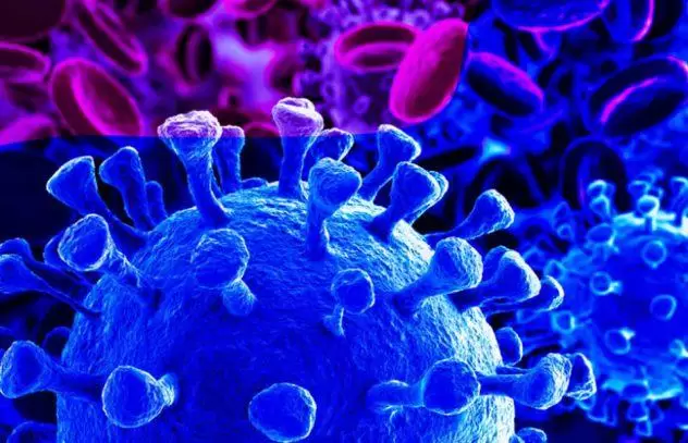 La OMS difundi� los datos del Covid a cinco a�os del primer caso: la infecci�n mat� a 7 millones