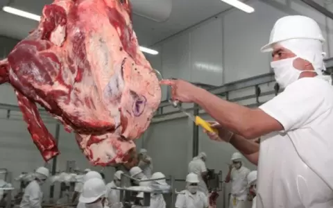Acuerdo Mercosur-UE podr�a generar USD 600 millones para pa�ses exportadores de carne vacuna