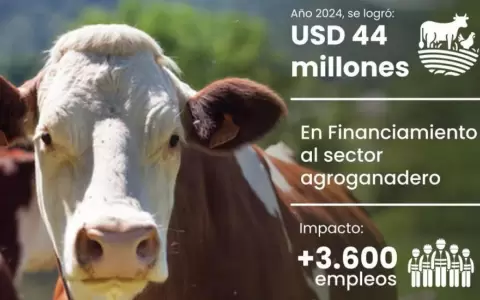 La AFD financiar� al sector agroganadero con USD 44 millones