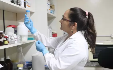 Conacyt anuncia convocatoria para proyectos de investigaci�n y desarrollo