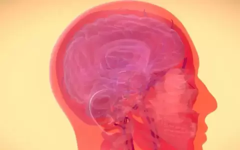 Hay demencias curables: el papel de los microbios cerebrales
